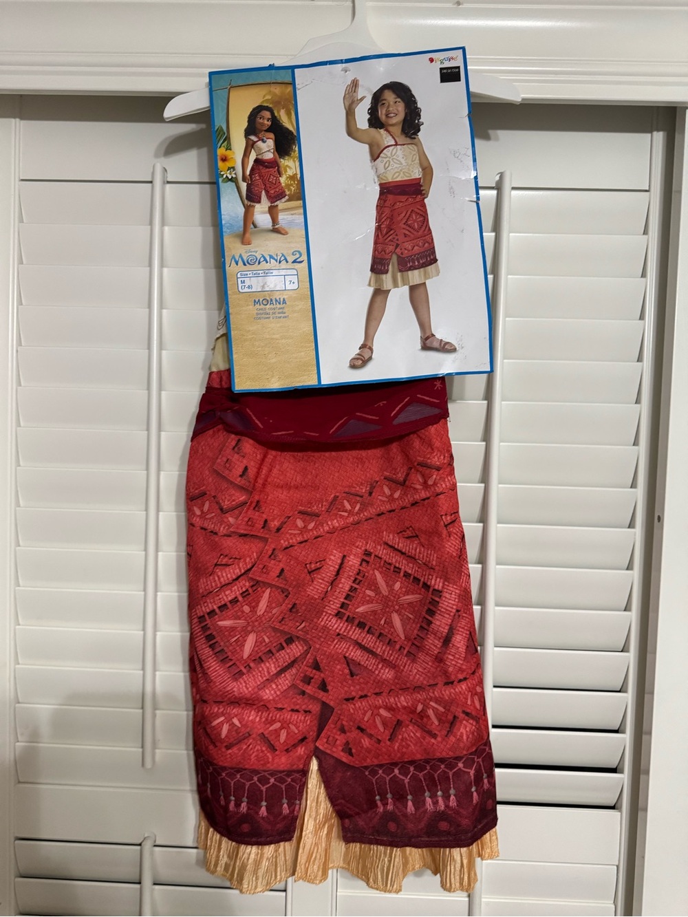 Disney Moana 2